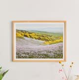 California Wildflowers by Kevin Russ Art Print