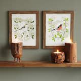 Show your state pride and celebrate the flora and fauna of home with framed artwork by Anna Branning and Mara Murphy.&nbsp;
