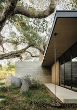 Outdoor, Shrubs, Grass, Back Yard, and Concrete Patio, Porch, Deck A 100-year-old oak shades the front of the house, which is clad in weathering yellow cedar.  Photo 3 of 14 in This Meditative Home in Silicon Valley Offers Garden Views at Every Turn