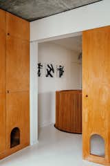 Doors, Wood, Interior, and Sliding  Doors Wood Sliding Interior Photos from This Live/Work Duplex in Paris Is Full of Kid- and Cat-Friendly Details