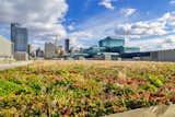 A closer look at the Javits Center's green roof.