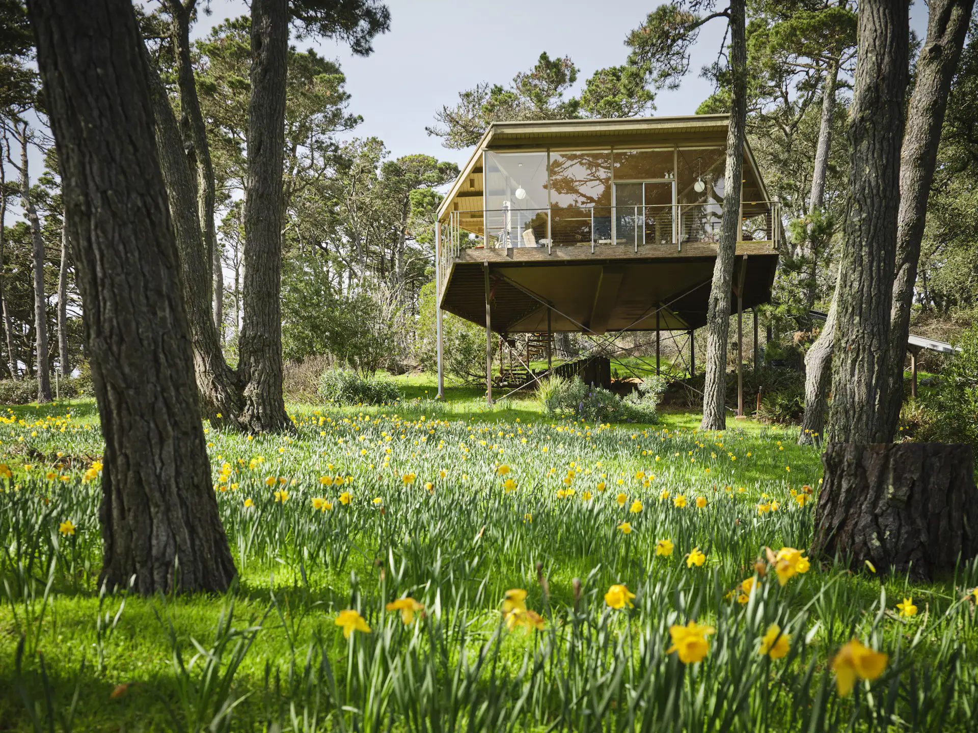 LONG SARONG LOOKING GLASS HOUSES