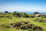 Exterior, Hipped RoofLine, Shingles Roof Material, House Building Type, and Wood Siding Material The view from the backyard.  Photos from A Sea Ranch Stunner With a Green Roof Asks $1.3M