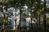 Exterior, Shingles Roof Material, and House Building Type The home sits between a steep slope and San Francisco Bay.  Photos from An Art-Filled House With an Eccentric Floor Plan Sits on San Francisco Bay