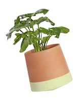 &nbsp;"Voltasol" planter, Livingthings