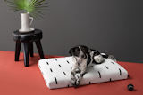  Photo 1 of 1 in Laylo White Rain Pet Bed