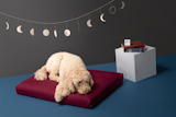 Laylo Core Maroon Pet Bed