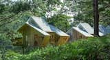 Ho Chi Minh City–based Mỹ An Architects designed geometric pine-clad cabins as a collaborative live/work space for employees&nbsp; at Vietnam’s Ta Nung Homestay. Two cabins, totaling 5,400 square feet, are connected by a shared timber deck that is elevated on stilts above the forest floor.