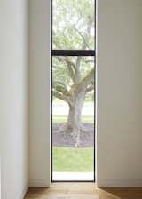 Throughout the house, the architects oriented windows to capture views of the large oak trees on the property.