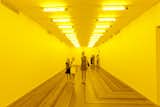 Olafur Eliasson Room for One Color (1997)