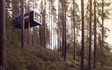  Photo 11 of 25 in Treehotel by Dwell
