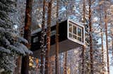 Photo 18 of 25 in Treehotel by Dwell