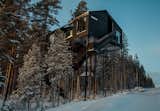  Photo 1 of 25 in Treehotel by Dwell