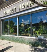 Sprout Home Kitchen and Table