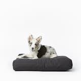 Fable Pets Bed