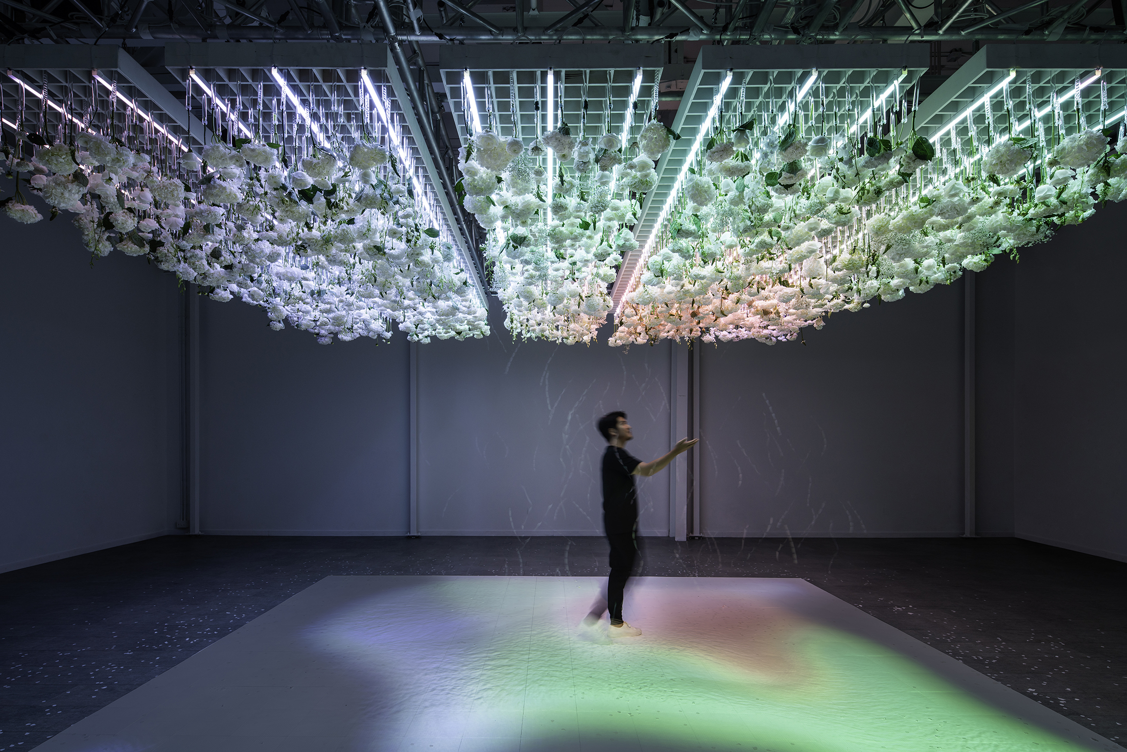 original.jpg?ar=1:1&fit=crop