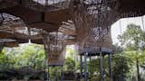 Designed by Plan B Architects and JPRCR Architects, the Orquideorama is a modular, biomorphic canopy in the city’s free botanical garden, shaped to mimic a honeycomb. It hosts public events throughout the year.