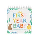 First Year Baby Calendar & Photo Prop Cards