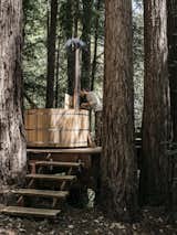 Redwood-Cabin-Jeff Waldman-and-Molly-Fiffer