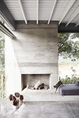 The family cat, Rey, steps in front of the concrete fireplace in the living room. Floor-to-ceiling windows enhance the indoor-outdoor connection.