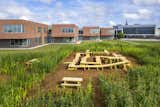 MASS Design Group cultivated a cornfield on the grounds of Central Middle School to foster conversation about food production and consumption.