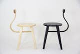 Yin Yang Chair-SinCa Design