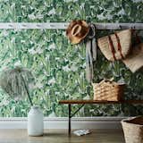 Tempaper Self-Adhesive Wallpaper, Tropical Jungle