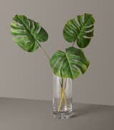 The Sill Faux Monstera Leaves Trio