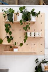 George &amp; Willy’s wall-mounted, birch plywood pegboard provides storage in the kitchen area.
