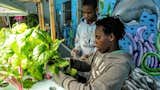 Sweet Water began by teaching hydroponic and aquaponic gardening in classrooms. Now they’re teaching in an active environment on the farm at Perry Ave Commons.