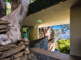 Lautner designed the home around multiple native trees, allowing the space to feel firmly grounded in nature. The organic features contrast with carefully integrated uses of stone, glass, and copper.