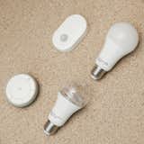 These lightbulbs and switches are prototypes from IKEA’s Home Smart line that allow for customizable and programmable lighting.