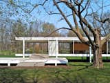 A Tree From the Farnsworth House Is Being Spun Into Historic Housewares