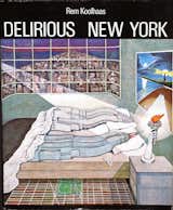 Koolhaas’s Delirious New York was published in 1978.