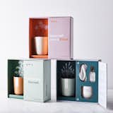  Modern Sprout Take Care Gift Sets