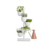 Design Within Reach Afteroom Story Planter