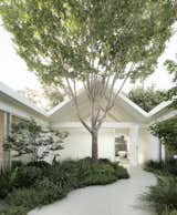 In Sunnyvale, California, architect Ryan Leidner transformed a 2,000-square-foot Eichler that was originally designed in the 1960s by A. Quincy Jones. "The atrium is the first place you enter," says Leidner. "Traditionally, it’s a hardscape area with some potted plants, but we wanted it to be more like a full garden, right in the middle of the house."