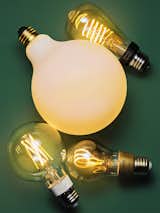  Photo 1 of 5 in These New LED Bulbs Combine Vintage Looks With Smart Energy Efficiency