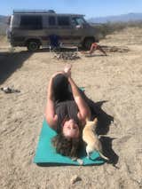 Emmy Hyde and Lola the chihuahua do some morning yoga on public land south of Joshua Tree National Park. The park remains open by foot and bike, and rangers and volunteers who live nearby keep tabs on visitors. Since Lauren and Emmy have not only chosen the van lifestyle, but also one largely removed from traditional society, the pandemic hasn’t affected their outlook or day-to-day much at all.