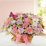 1800Flowers Blossoming Blooms Basket