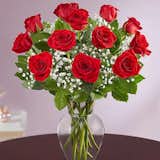  Photo 1 of 1 in Rose Elegance Premium Long Stem Red Roses Bouquet