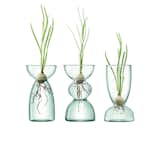 LSA Canopy Recycled Glass Vase Collection
