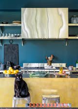 Tweak, another kitty, sits at the brass-clad kitchen island on a Ghost stool by Philippe Starck.