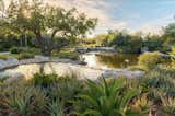 Raymond’s team completed an oceanfront project in the Florida Keys using fossilized limestone and native species to surround a garden pond. The site required a landscape that could survive the seasonal dry period, saltwater inundations from storm surges, and the salt air.