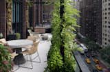 Brook Landscape also revamped a Midtown East terrace using sprawling vines and lush boxed plantings.