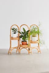 Urban Outfitters Rattan Plant Stand