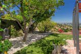 Perched on a hilltop bordering Deervale-Stone Canyon Park, the lush lot has several fruit trees and views of the San Fernando Valley.