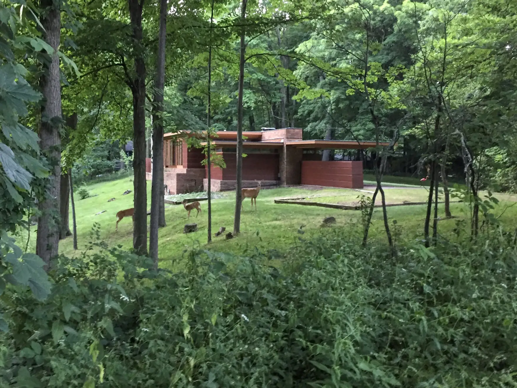 Frank Lloyd Wright’s “Favorite Small House” Can Be Yours for $479K - Dwell