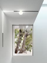 A second-floor window frames a view of trees in front of the house.