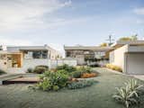 Large, colorful plantings selected by landscape architect Stefan Hammerschmidt stand out against the cool geometry of a pair of restored Rudolph Schindler homes—a third is nearby—in Inglewood, California.